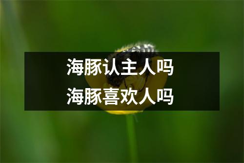 海豚认主人吗 海豚喜欢人吗 海豚认主人吗 海豚喜欢人吗