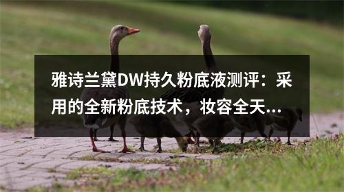 雅诗兰黛DW持久粉底液测评：采用的全新粉底技术，妆容全天贴面靚丽 雅诗兰黛dw粉底液用着怎么样?