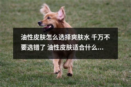 油性皮肤怎么选择爽肤水 千万不要选错了 油性皮肤适合什么爽肤水好 油性皮肤怎么选择爽肤水 千万不要选错了 油性皮肤适合什么爽肤水好