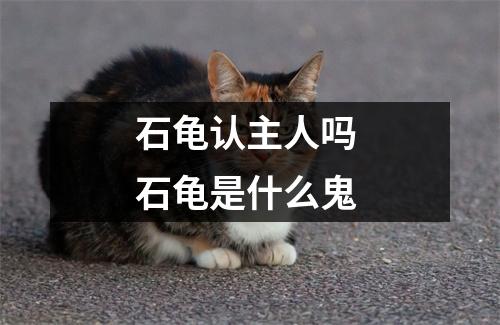 石龟认主人吗 石龟是什么鬼
