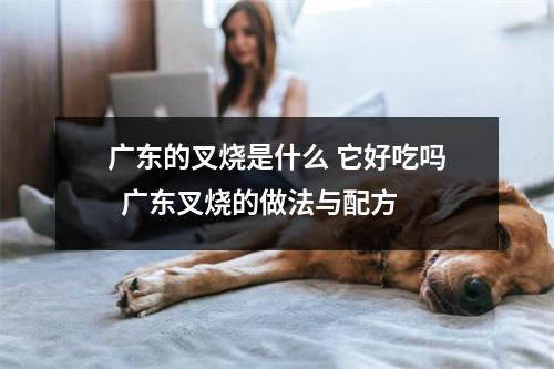 广东的叉烧是什么 它好吃吗  广东叉烧的做法与配方