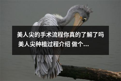 美人尖的手术流程你真的了解了吗 美人尖种植过程介绍 做个美人尖需要多少钱