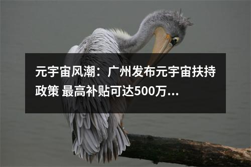 元宇宙风潮：广州发布元宇宙扶持政策 最高补贴可达500万 元宇宙科技公司