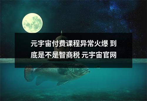 元宇宙付费课程异常火爆 到底是不是智商税 元宇宙官网