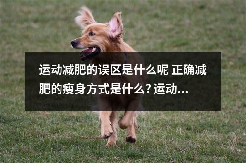 运动减肥的误区是什么呢 正确减肥的瘦身方式是什么? 运动减肥缺点