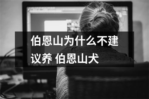 伯恩山为什么不建议养 伯恩山犬