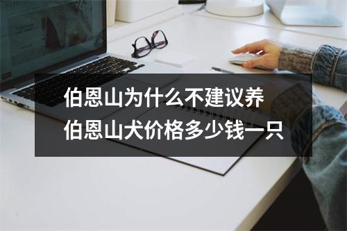 伯恩山为什么不建议养 伯恩山犬价格多少钱一只
