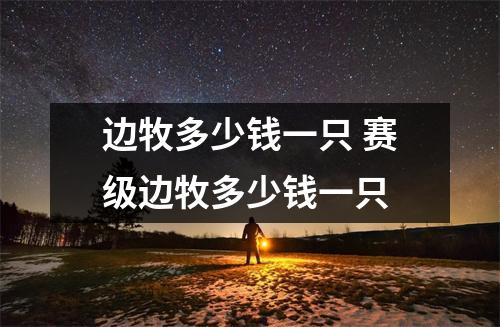 边牧多少钱一只 赛级边牧多少钱一只