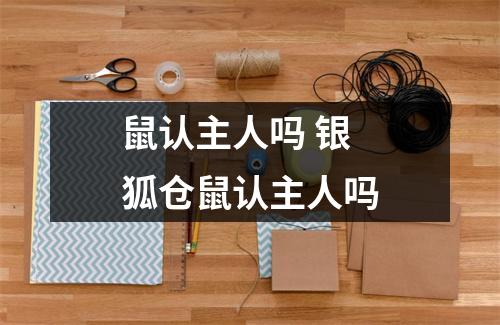 鼠认主人吗 银狐仓鼠认主人吗