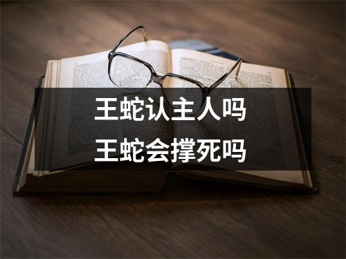 王蛇认主人吗 王蛇会撑死吗