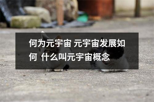 何为元宇宙 元宇宙发展如何  什么叫元宇宙概念