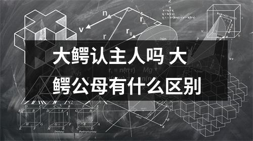 大鳄认主人吗 大鳄公母有什么区别