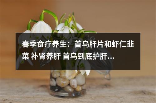 春季食疗养生：首乌肝片和虾仁韭菜 补肾养肝 首乌到底护肝还是伤肝