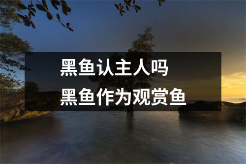 黑鱼认主人吗 黑鱼作为观赏鱼