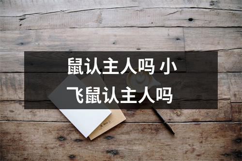 鼠认主人吗 小飞鼠认主人吗