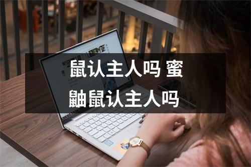 鼠认主人吗 蜜鼬鼠认主人吗