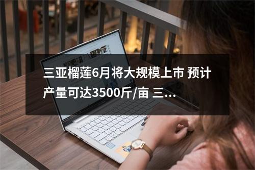 三亚榴莲6月将大规模上市 预计产量可达3500斤/亩 三亚出产榴莲吗 三亚榴莲6月将大规模上市 预计产量可达3500斤/亩 三亚出产榴莲吗