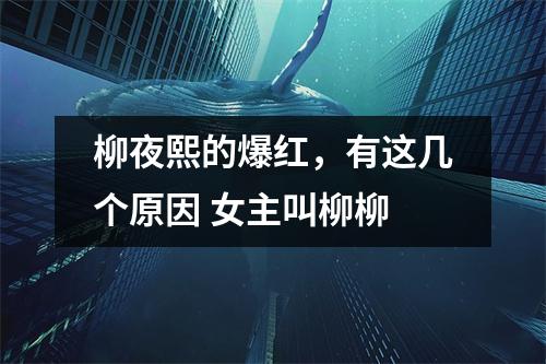 柳夜熙的爆红，有这几个原因 女主叫柳柳