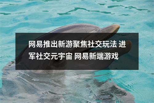 网易推出新游聚焦社交玩法 进军社交元宇宙 网易新端游戏
