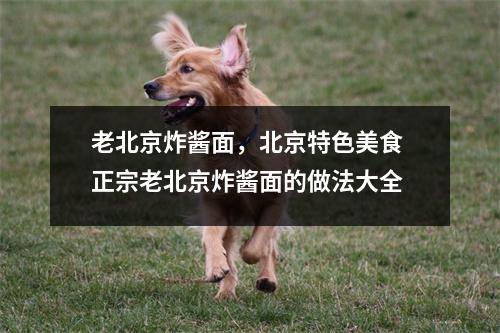 老北京炸酱面，北京特色美食 正宗老北京炸酱面的做法大全