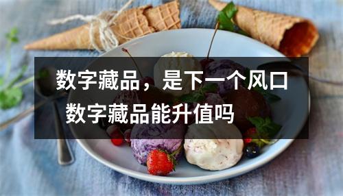 数字藏品，是下一个风口  数字藏品能升值吗
