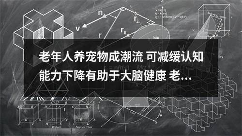 老年人养宠物成潮流 可减缓认知能力下降有助于大脑健康 老人适合养狗