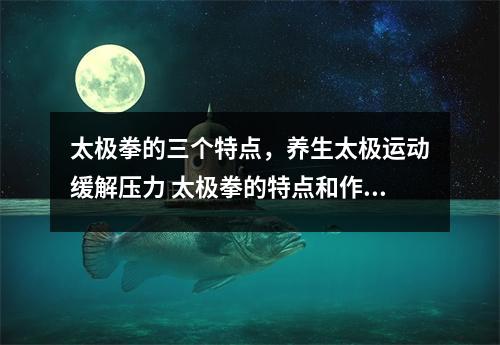 太极拳的三个特点，养生太极运动缓解压力 太极拳的特点和作用