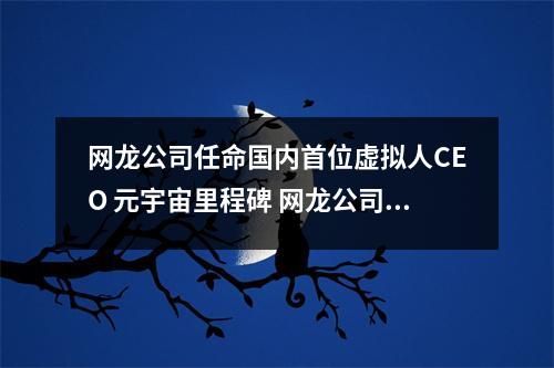 网龙公司任命国内首位虚拟人CEO 元宇宙里程碑 网龙公司vr
