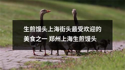 生煎馒头上海街头最受欢迎的美食之一 郑州上海生煎馒头