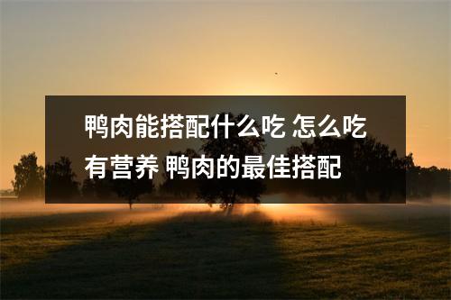 鸭肉能搭配什么吃 怎么吃有营养 鸭肉的最佳搭配