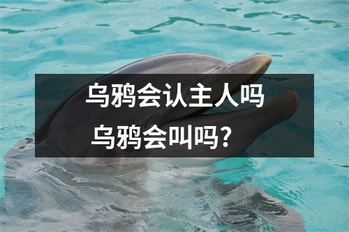 乌鸦会认主人吗 乌鸦会叫吗?