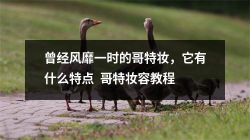 曾经风靡一时的哥特妆，它有什么特点  哥特妆容教程