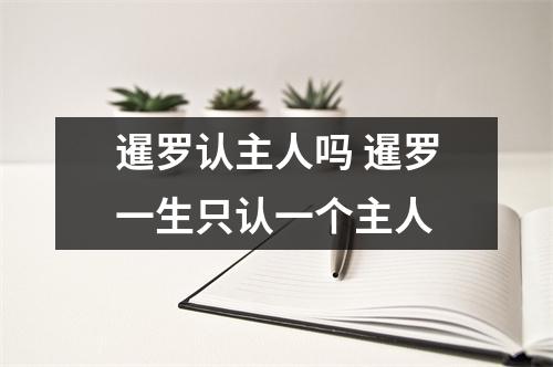 暹罗认主人吗 暹罗一生只认一个主人