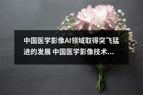 中国医学影像AI领域取得突飞猛进的发展 中国医学影像技术网