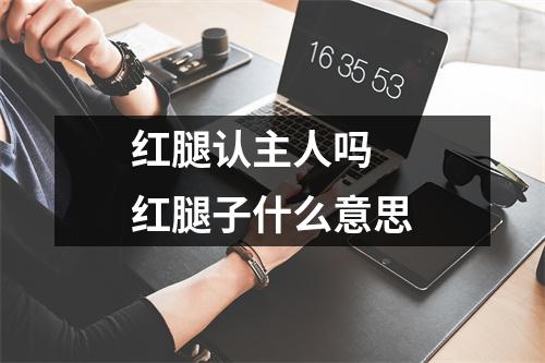 红腿认主人吗 红腿子什么意思