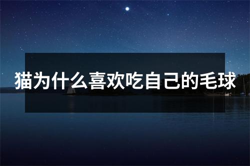 猫为什么喜欢吃自己的毛球