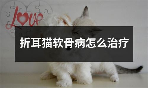 折耳猫软骨病怎么治疗