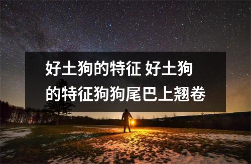 好土狗的特征 好土狗的特征狗狗尾巴上翘卷