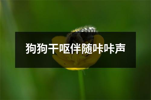 狗狗干呕伴随咔咔声