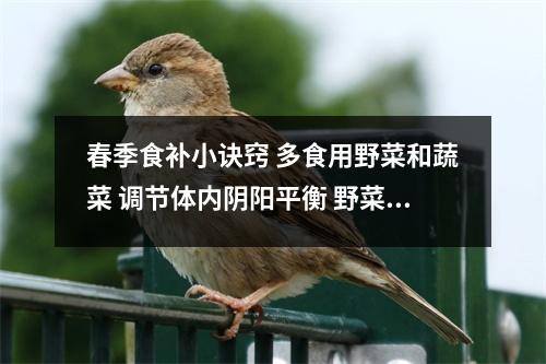 春季食补小诀窍 多食用野菜和蔬菜 调节体内阴阳平衡 野菜营养好