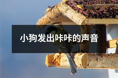 小狗发出咔咔的声音