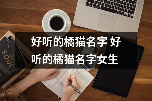 好听的橘猫名字 好听的橘猫名字女生