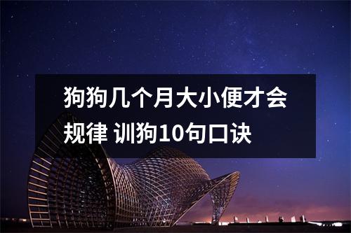 狗狗几个月大小便才会规律 训狗10句口诀