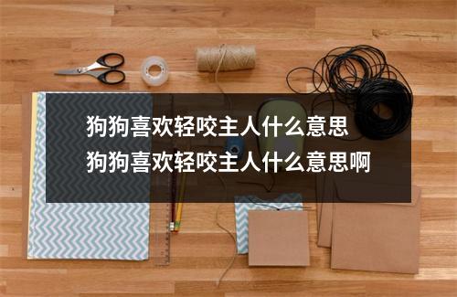 狗狗喜欢轻咬主人什么意思 狗狗喜欢轻咬主人什么意思啊
