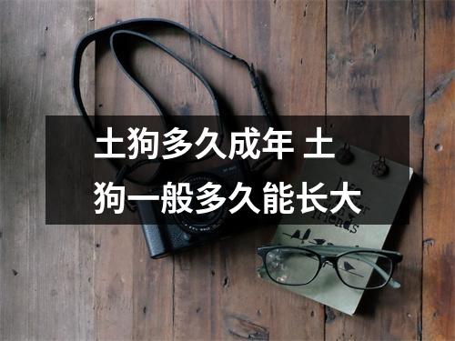 土狗多久成年 土狗一般多久能长大