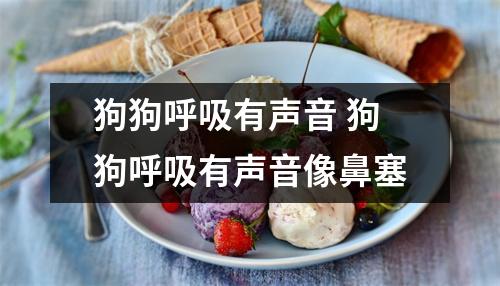 狗狗呼吸有声音 狗狗呼吸有声音像鼻塞