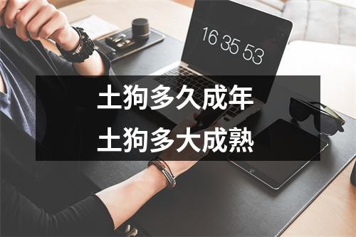 土狗多久成年 土狗多大成熟 土狗多久成年 土狗多大成熟