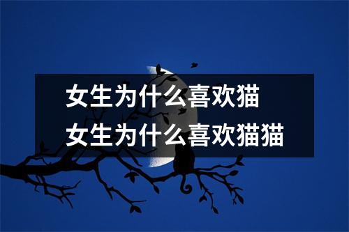 女生为什么喜欢猫 女生为什么喜欢猫猫