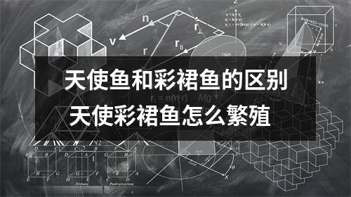 天使鱼和彩裙鱼的区别 天使彩裙鱼怎么繁殖