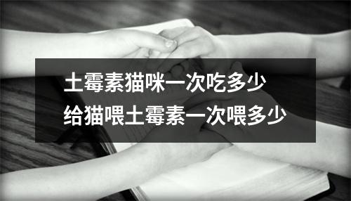 土霉素猫咪一次吃多少 给猫喂土霉素一次喂多少